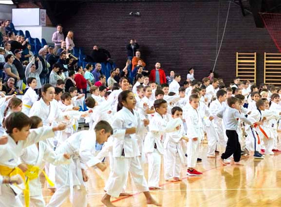 Concurs Karate 2019